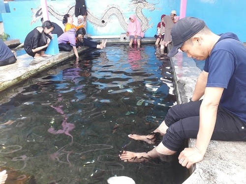 Kolam Terapi Ikan
